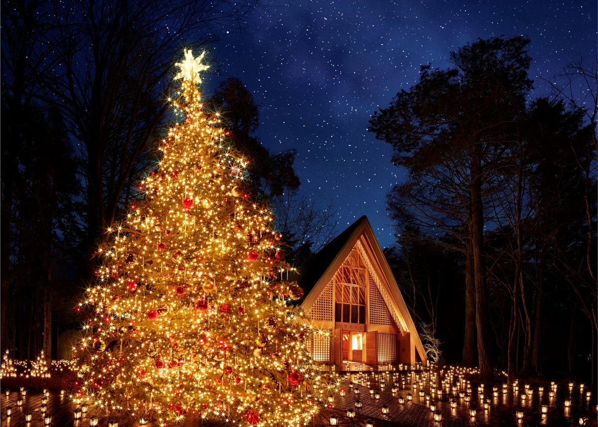 軽井沢高原教会で「星降る森のクリスマス」開催 願いを星に届ける