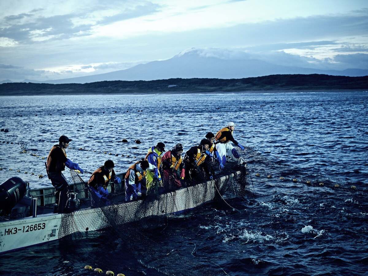 large.jpg?1762914296