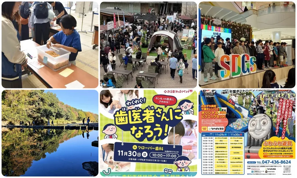 活動歴および当時の関連ビジュアル記録