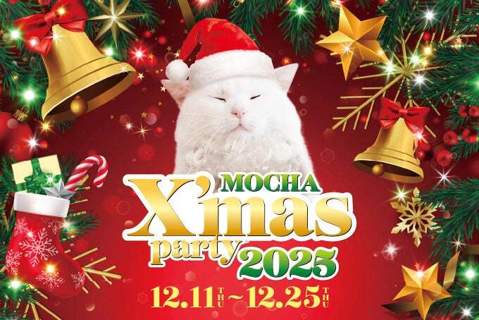 猫カフェMOCHAでクリスマスパーティー！ 限定おやつとポストカードの