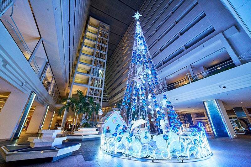 沖縄恩納村で高さ13mのツリー輝く！ サンタ＆イルカに会えるクリスマス
