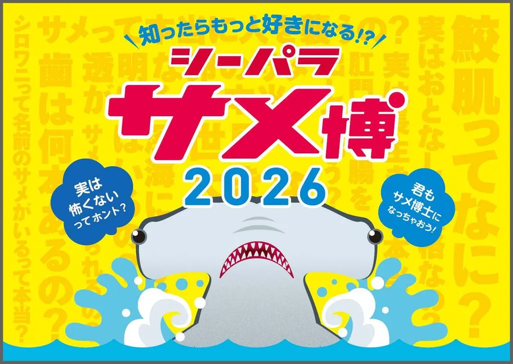横浜・八景島シーパラダイスで「サメ博2026」が開催 サメのすべてが