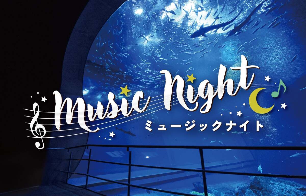 夜の水族館で生演奏！大洗で4夜限定の「ミュージックナイト」開催