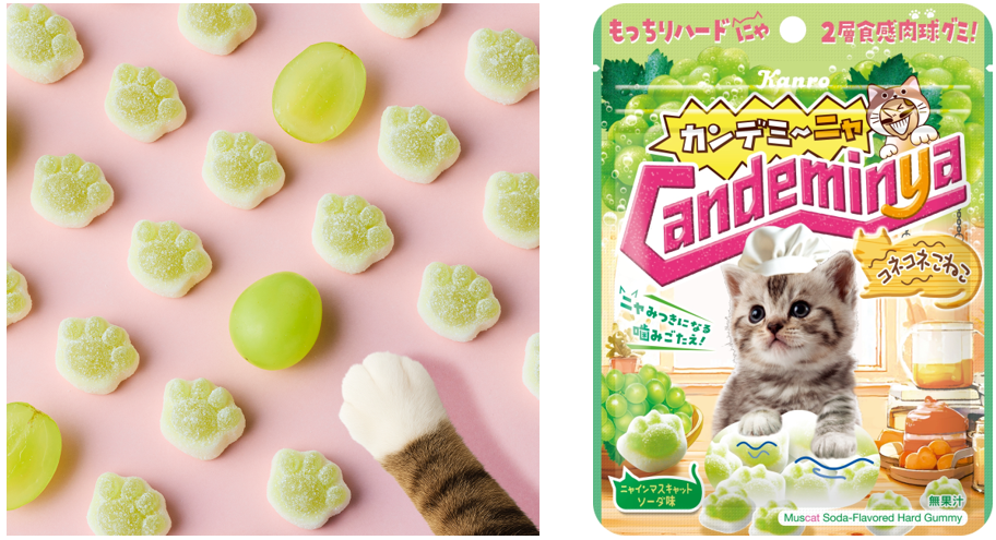 レア！ グミベア デザイン 派通 ペン 日本絶版 2026年2月新作グミ】スーパーカップがグミに!?猫の日向けやあまおう苺