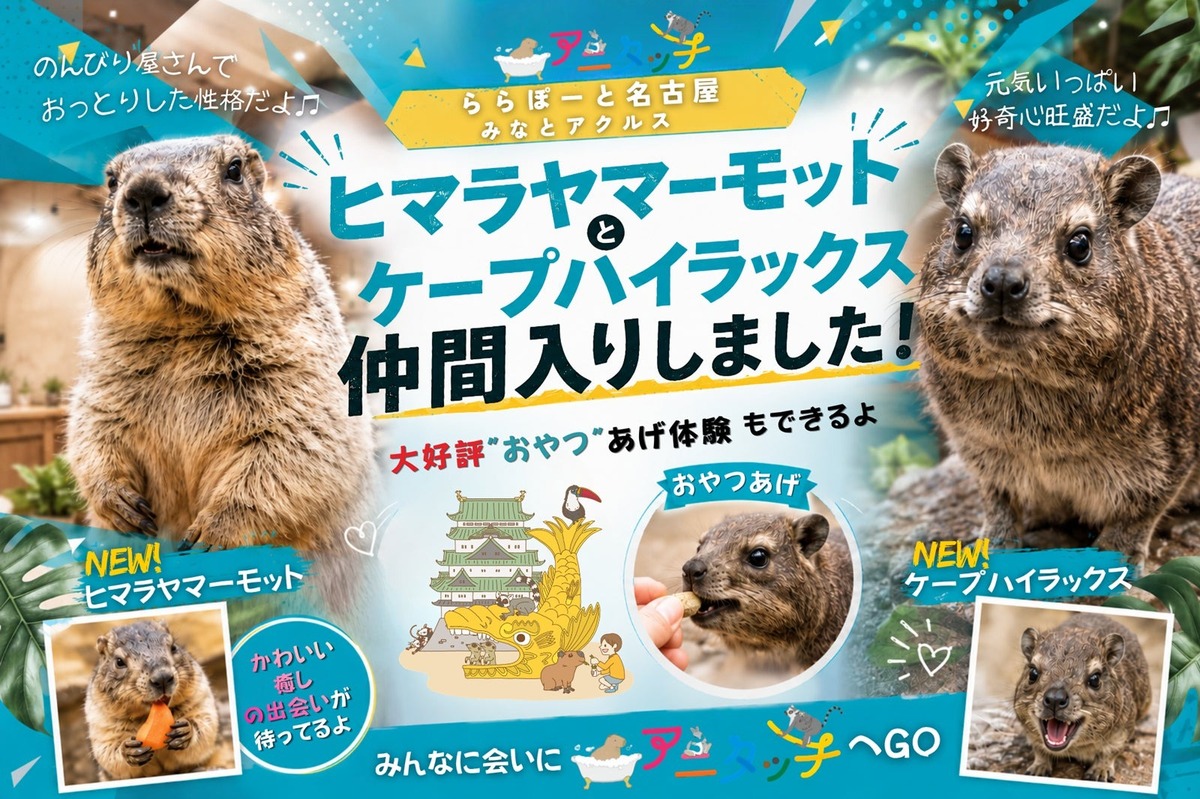 巨大リスと好奇心旺盛な珍獣に会える！ 名古屋の「アニタッチ」に新