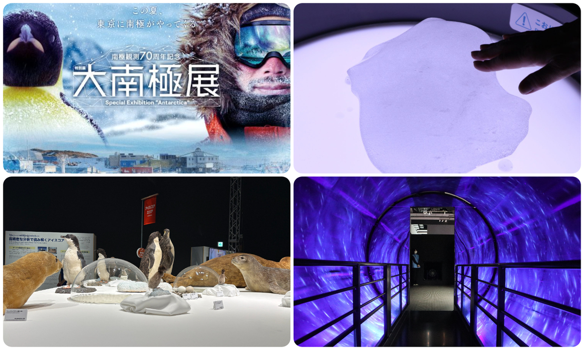 7/1開幕！南極の氷・隕石にふれられる体験充実の「大南極展」を編集部