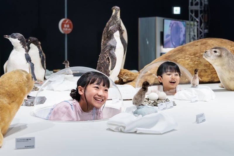 本物の南極の氷にさわれる！すみっコぐらし応援の特別展「大南極展」が