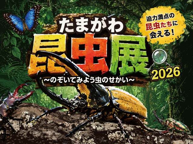 ヘラクレスオオカブトも！世界の昆虫約50種が集結「たまがわ昆虫展2026