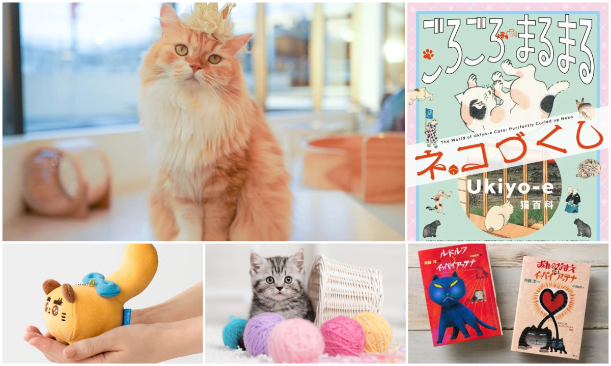 8/8は「世界猫の日」！猫好きに送る猫イベント＆限定猫グッズ【2026