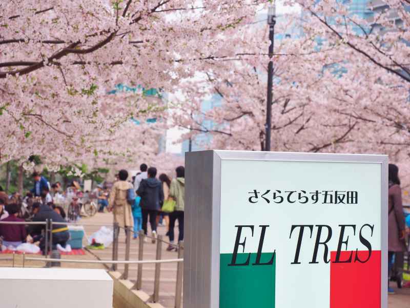 東京都内 子連れお花見ランチが人気のカフェ レストラン7選 いこーよニュース