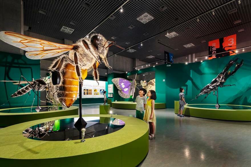 招待券あり 夏休みに大人気 昆虫展 子供が夢中 大興奮 いこレポ