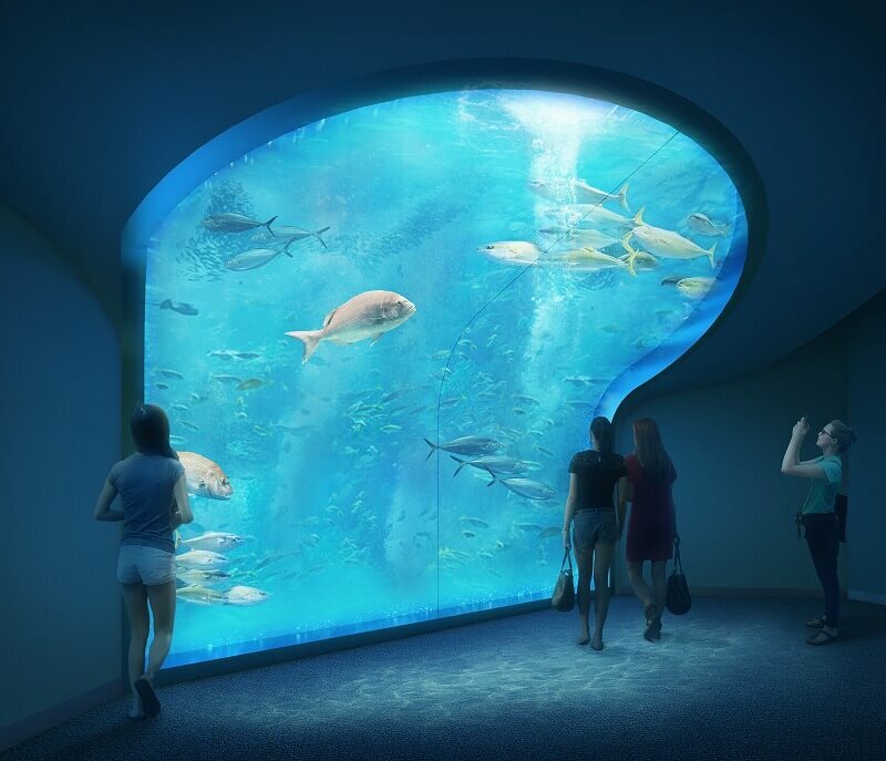 四国最大級の四国水族館が年6月open おすすめ周辺スポットも いこレポ