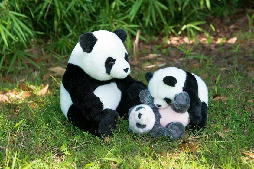 large.jpg?1629360323