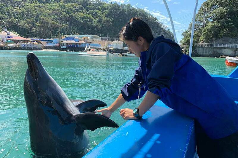絶対行きたい！「下田海中水族館」徹底レポ イルカショー＆ふれあいを