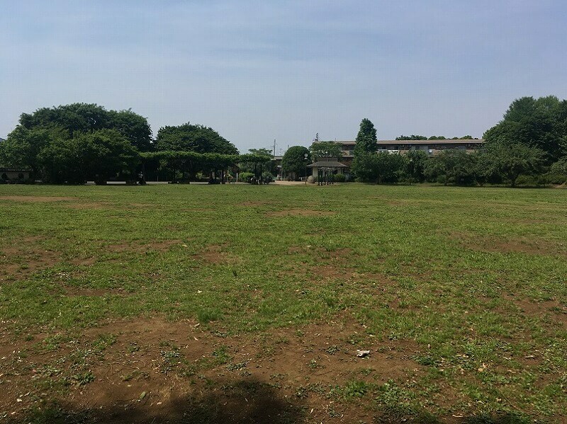練馬区の芝生広場がある公園6選 アスレチックや大型遊具も いこーよニュース