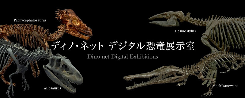 人気博物館の恐竜骨格を自宅で無料見学！ オンライン講座も開催 | いこ