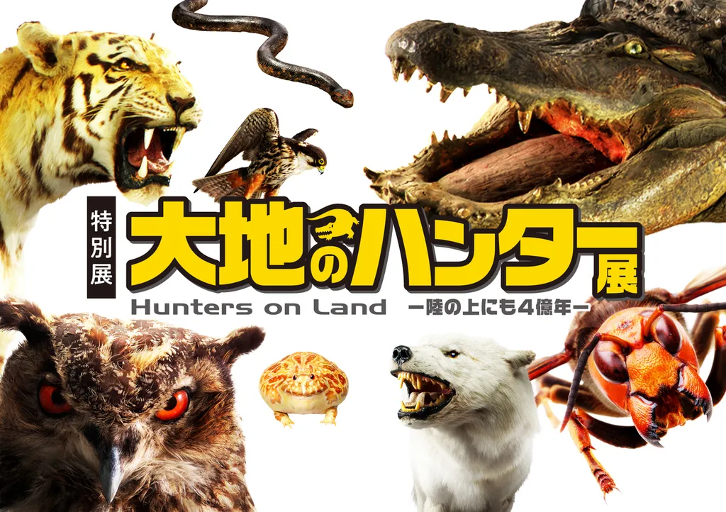 希少】復刻 ハンター大全 ハンター大全】モンスターハンターの世界観_ 
