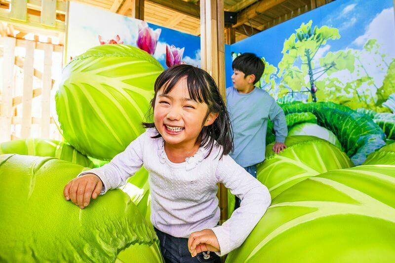 鈴鹿の人気パークに家庭菜園型の立体迷路！ 0～2歳無料エリアも | いこ