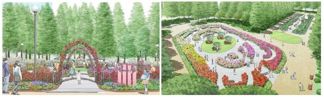 練馬区の入園無料のバラ園がリニューアル 大規模拡張 新品種も いこレポ