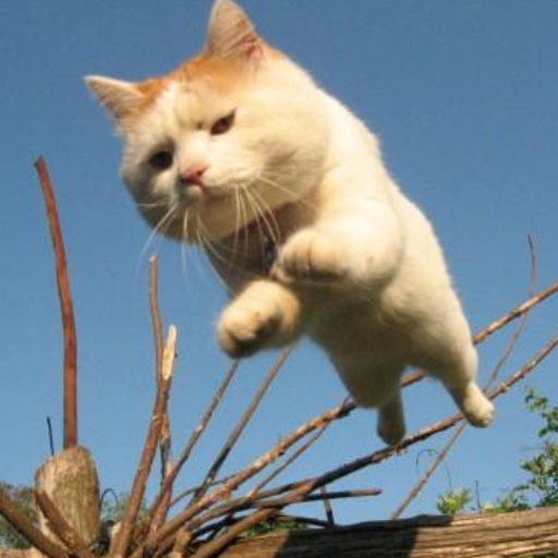 おでかけコンシェルジュ